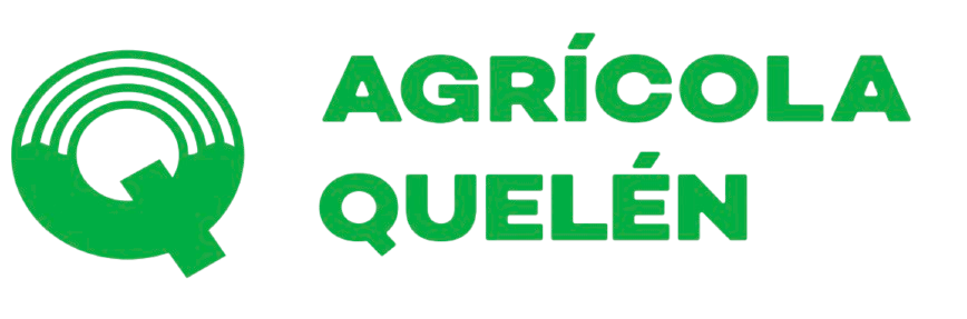 Logo Cliente 9